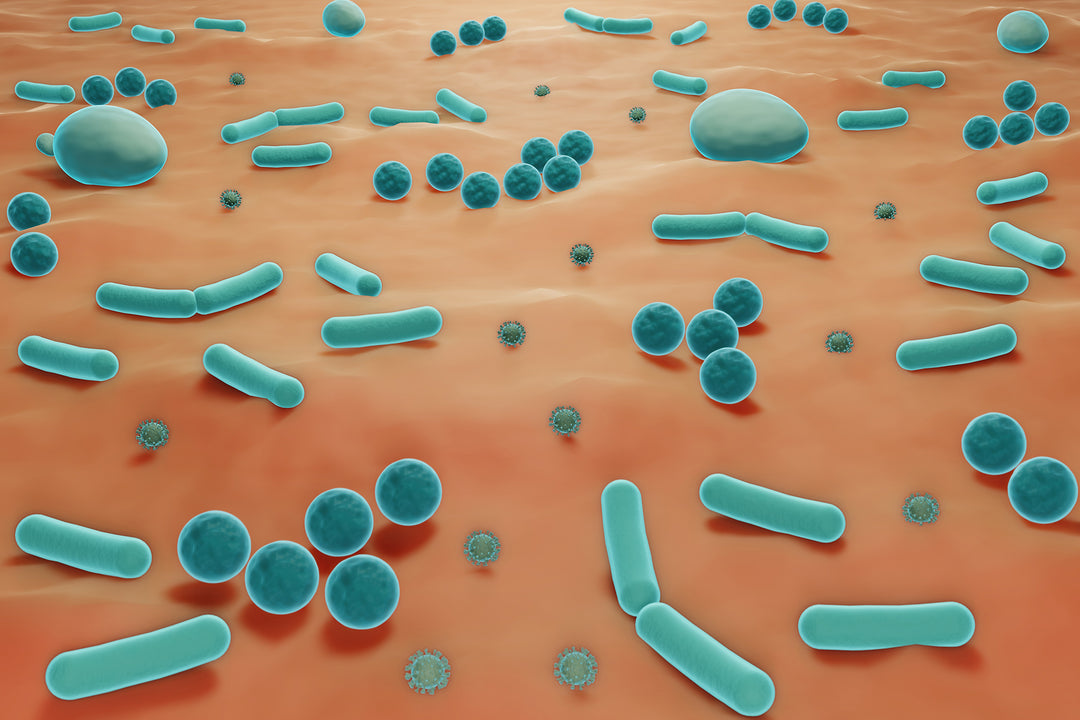 Écosystème du microbiome cutané