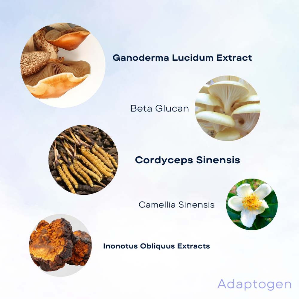NEW Adaptogen™