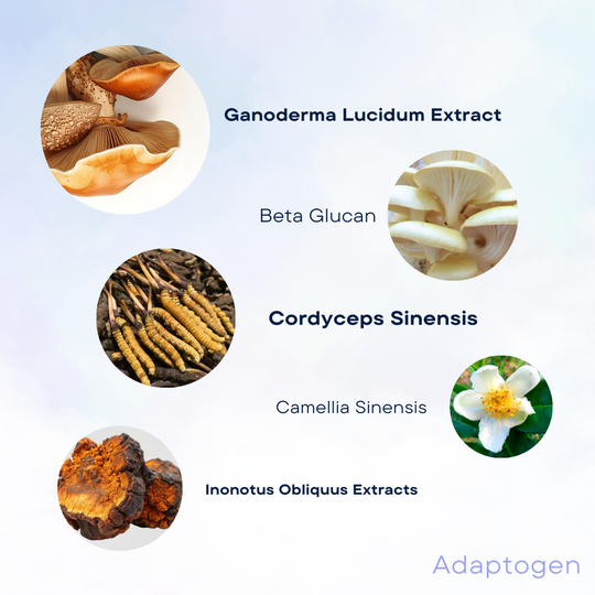 NEW Adaptogen™